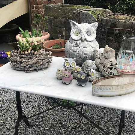 B&B La Grange 더뷔