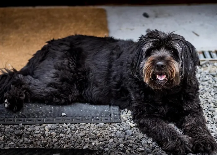 La Grange Alojamento de Acomodação e Pequeno-almoço